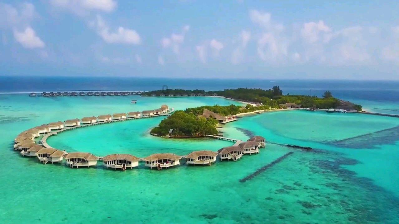 天谕手游
