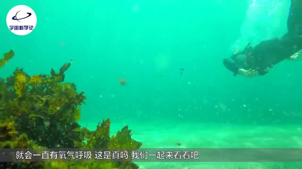 合金装备5原爆点