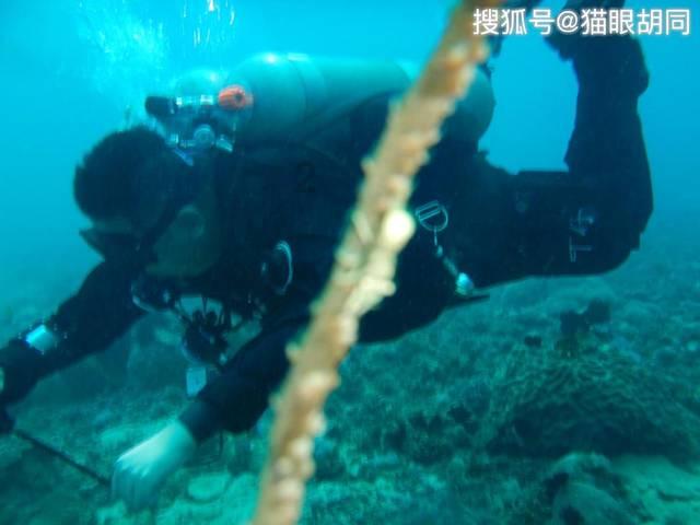 邻居的需求