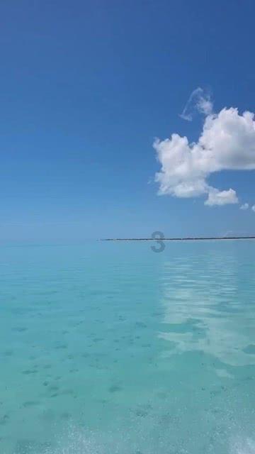 李湘现身李维嘉直播间,两人依旧默契十足,魅力不减当年