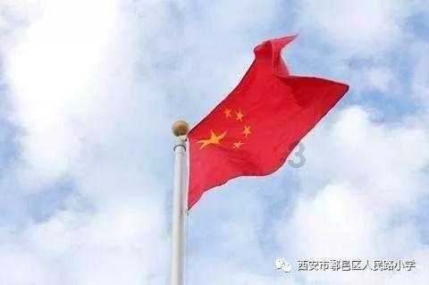 救援有趣的狮子