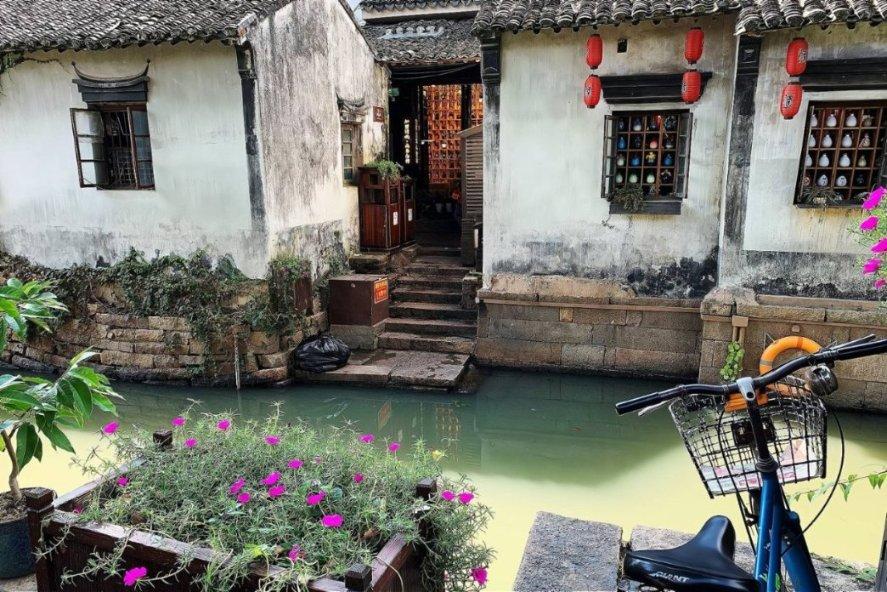 奔跑的兔子